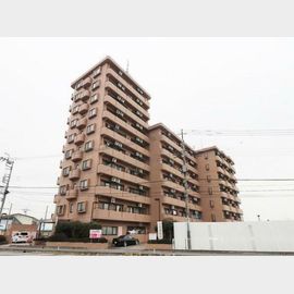 東鷲宮駅より徒歩19分 築34年9ヶ月 11階建の賃貸物件