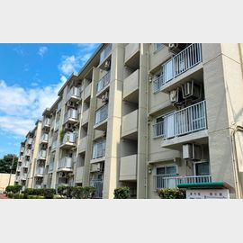 コーポ下鶴間１号棟 5階 築47年5ヶ月の賃貸物件