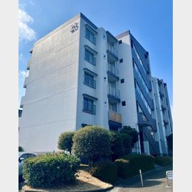 さつき住宅２５号棟の賃貸物件