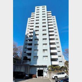 ビュータワーズ向陽台２号棟の賃貸物件