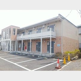 レオネクストアイランド パレスの賃貸物件