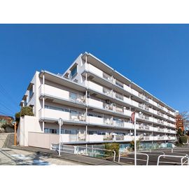 生田駅より徒歩5分 4階 築46年の賃貸物件