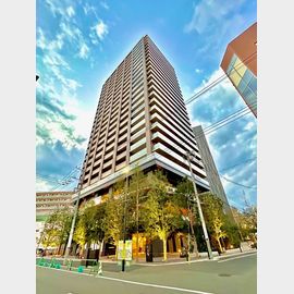 向ヶ丘遊園駅より徒歩2分 18階 新築の賃貸物件