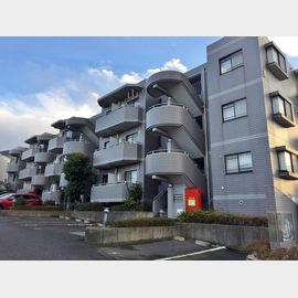 ロイヤル二俣川Ｂ棟 2階 築34年10ヶ月の賃貸物件