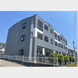 パタトデゥースの賃貸物件