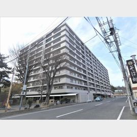 狭間駅より徒歩7分 9階 築51年5ヶ月の賃貸物件