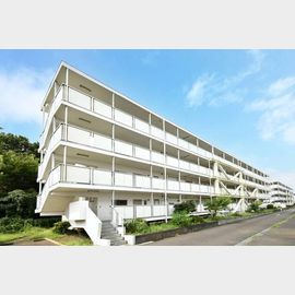 南橋本駅より徒歩19分 2階 築61年1ヶ月の賃貸物件