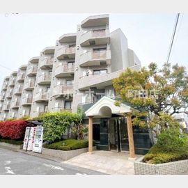 FLATS 3階 築29年3ヶ月の賃貸物件