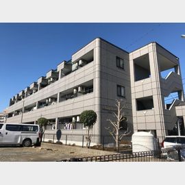 ブエナスエルテ 3階 築21年11ヶ月の賃貸物件