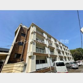 シャトー真間の賃貸物件