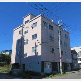 グリーンマンション 3階 築46年の賃貸物件