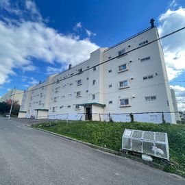 高砂ハイツＤ 4階 築51年の賃貸物件