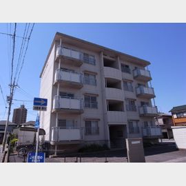 ハイツルミナスの賃貸物件