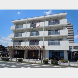 メゾン浅井の賃貸物件