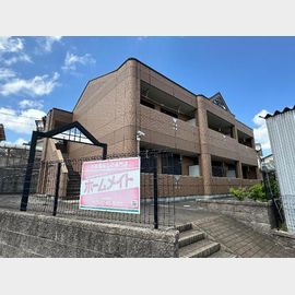 グレース・Nの賃貸物件