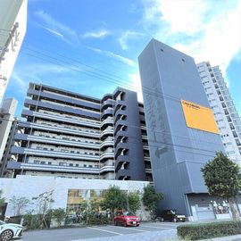 カーサ グリージョの賃貸物件