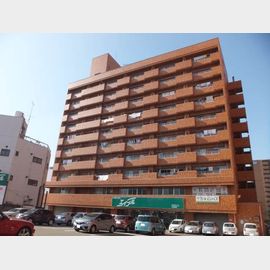 土橋駅より徒歩4分 築43年1ヶ月 10階建の賃貸物件