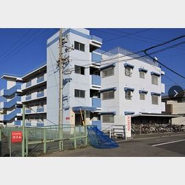 メゾンジュネス 1階 築39年4ヶ月の賃貸物件