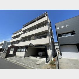 メゾン土居田 4階 築38年3ヶ月の賃貸物件