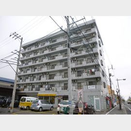 キャッスルエアポート 6階 築36年3ヶ月の賃貸物件