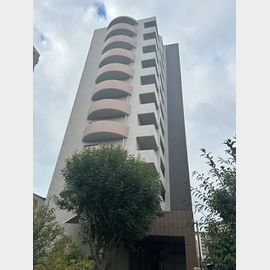  11階 築18年10ヶ月の賃貸物件