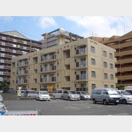 メゾン川上の賃貸物件