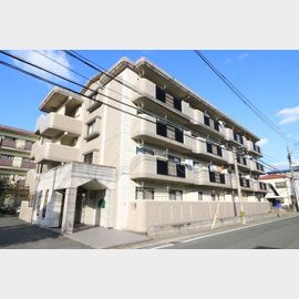 ビバーチェ大橋南の賃貸物件