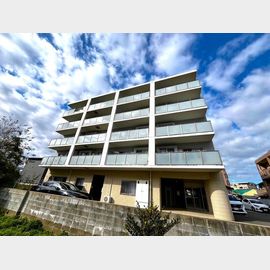 メゾン・ド・グレースの賃貸物件