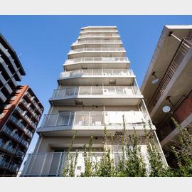 ブライズ大森東TREの賃貸物件