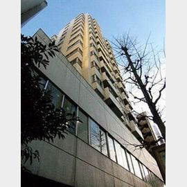 キャッスル新宿 11階 築50年11ヶ月の賃貸物件