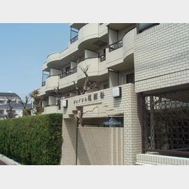 祖師ヶ谷大蔵駅より徒歩8分 2階 築41年の賃貸物件