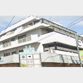 松原パレス 4階 築53年6ヶ月の賃貸物件