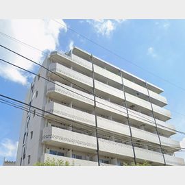 大森駅より徒歩10分 8階 築11年5ヶ月の賃貸物件