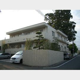 テラス駒沢 2階 築41年3ヶ月の賃貸物件