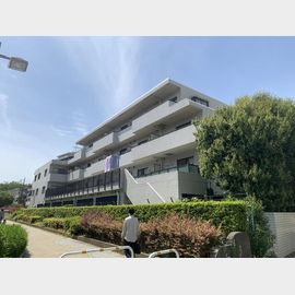 メゾンドロワール 4階 築40年8ヶ月の賃貸物件