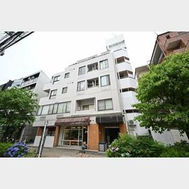 二子玉川駅より徒歩5分 4階 築43年4ヶ月の賃貸物件