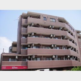 ロイヤルガーデン千鳥町の賃貸物件
