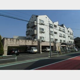 成城アベニュー館 4階 築30年6ヶ月の賃貸物件