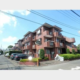都立大学駅より徒歩20分 3階 築35年1ヶ月の賃貸物件
