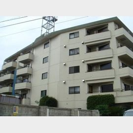 大森山王濱栖鳳501A 3階 築45年6ヶ月の賃貸物件