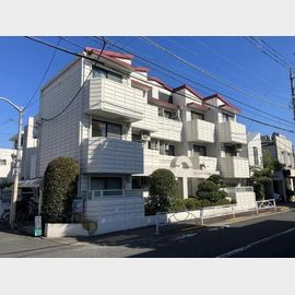 ホワイトシャトル柿の木坂 1階 築41年6ヶ月の賃貸物件
