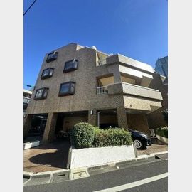 板倉マンション 4階 築49年1ヶ月の賃貸物件