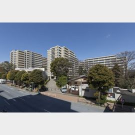 シティコート目黒3号棟の賃貸物件