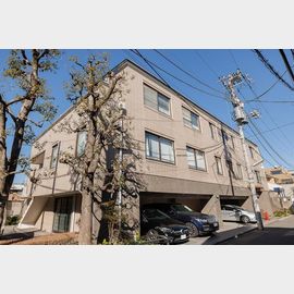 南青山コートヒルズ 2階 築36年の賃貸物件