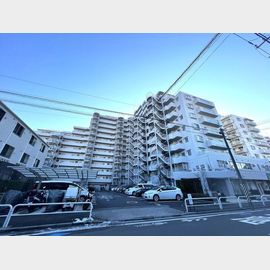 ツインシティ東砂アネックス 11階 築38年5ヶ月の賃貸物件