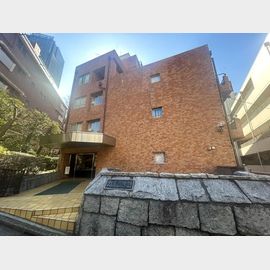 カルム坂 5階 築49年10ヶ月の賃貸物件