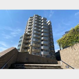 コラム神泉 7階 築24年6ヶ月の賃貸物件