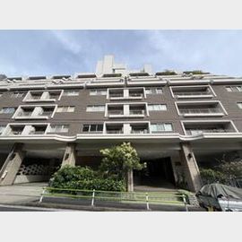 シャトー東洋南青山 2階 築55年の賃貸物件