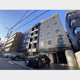白金高輪駅より徒歩8分 2階 築36年5ヶ月の賃貸物件