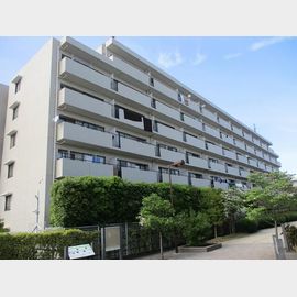 ステラメゾン武蔵小山の賃貸物件